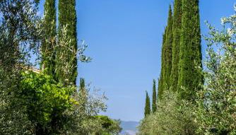 Agriturismo La Fonte - Foto 4