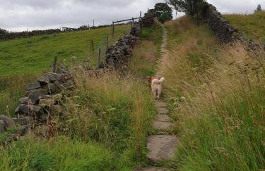 Curlew Cottage Eldwick peaceful location where you can watch the horses - Foto 10