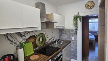 Pension & Ferienwohnungen Richter - Foto 3, stove, toaster