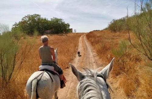 Finca Los Jacaros - Foto 47