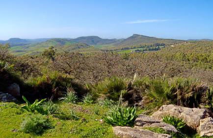 Agriturismo Vecchia Masseria Charme&Relax - Foto 113