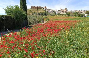 La Casa del Abuelo Curro - Foto 26