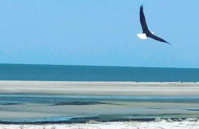 The Islander- Luxurious Island Oasis - Foto 55