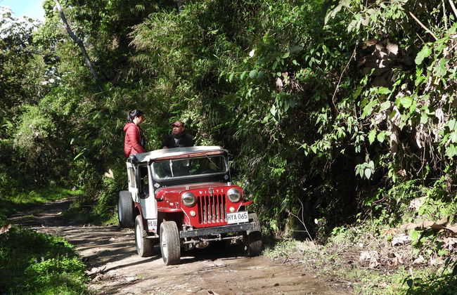 Bird-Watching in the Palmas de Cera Sanctuary - Photo 2