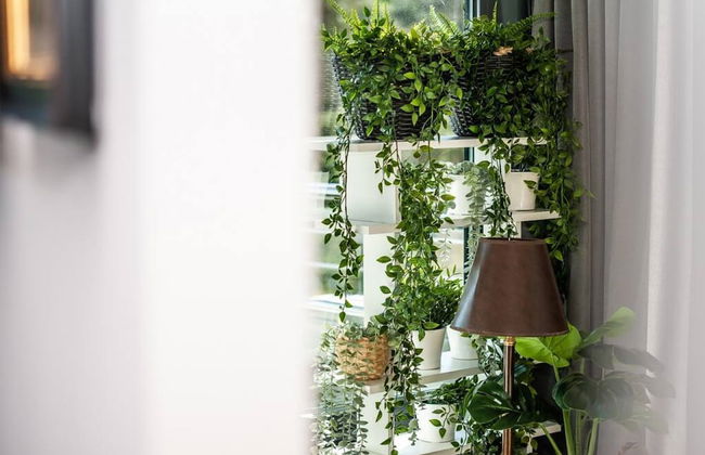 Safari Relaks i Aktywny Wypoczynek Idealna Lokalizacja - Foto 12