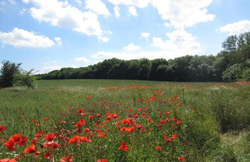Ferienwohnung Sundblick - Photo 25