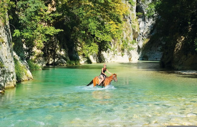 White Orchid Kinabalu - Foto 29