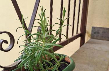 Le Floreali - Casa Rosmarino - Foto 41