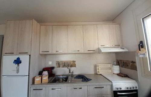 Little Octopus - Photo 6