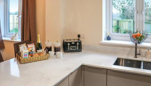 Rhyolite - Uk50844 - Foto 5