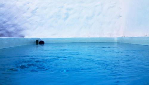 Casas do Gavião by Portus Alacer - Foto 4