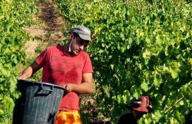 Quinta do Chao D'Ordem - Foto 63