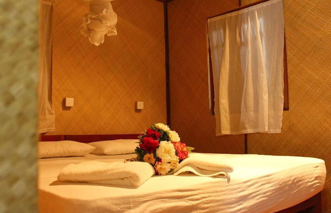 Thick forest sigiriya - Photo 19