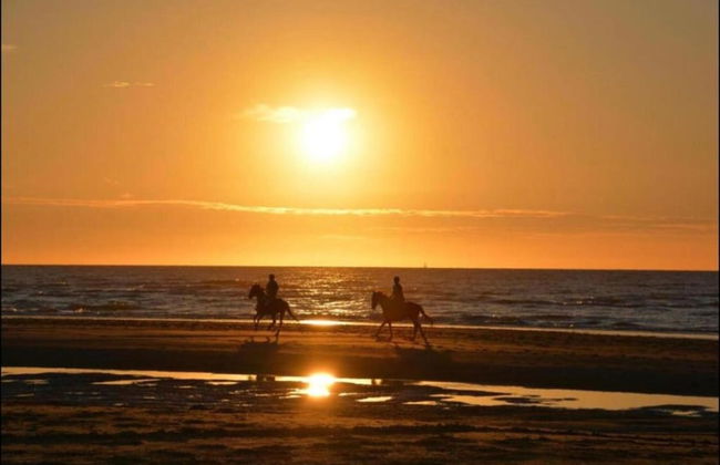 Sunny Escape by the Shore - Photo 35