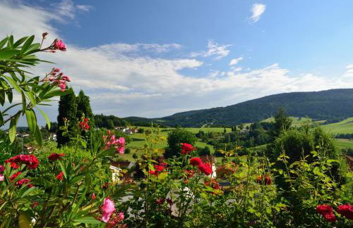 Ferienwohnungen Grill - Foto 21