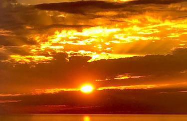 L'armandulina - Foto 13