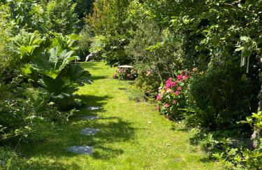 La maison bleue - Photo 44