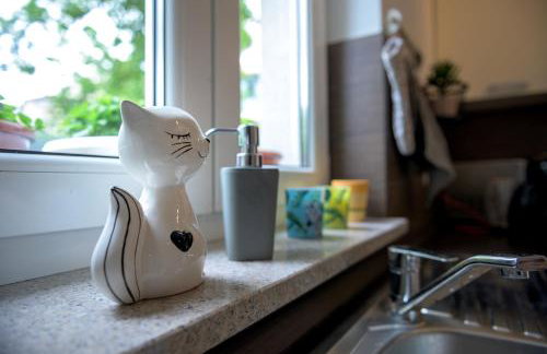 Crni mačak - Foto 2