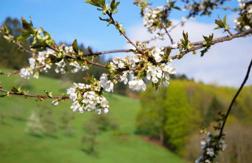 Bühlbauernhof - Foto 5