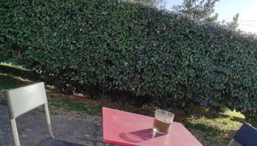 Studio Calvisson La Martinette - Photo 2