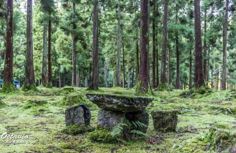 Casa Milhafre - Photo 45