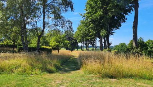 Ferienhaus Kirschblüte - Foto 5, Garden