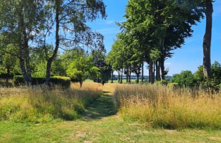 Ferienhaus Kirschblüte - Foto 5