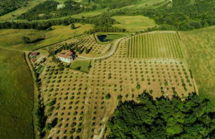 Libero Ranch - Foto 24