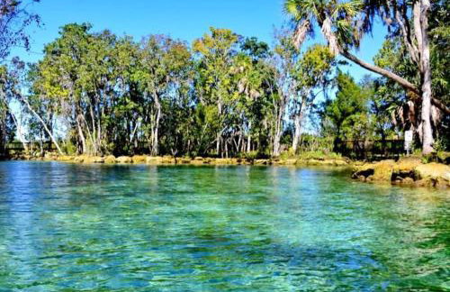 The Nature House a Secluded Canal front Cabin - Foto 34