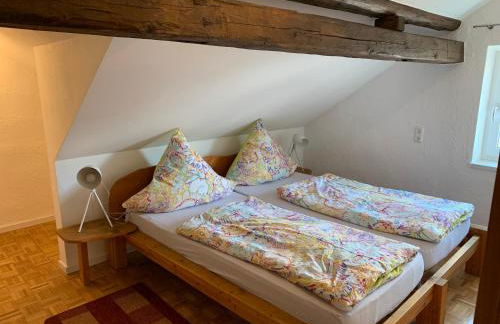 Allgäuer Taucherhof - Foto 6