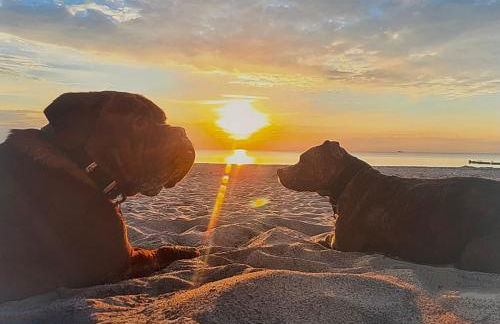 Ferienhaus am Küstenwald - Foto 24