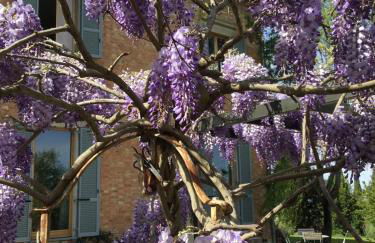 Villa with pool in Montepulciano - Foto 47