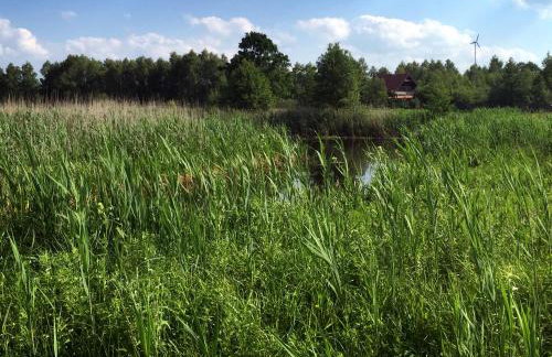 Przystan Kurpiowska - Foto 22