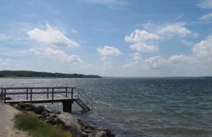 FEWO Muschel - Foto 29