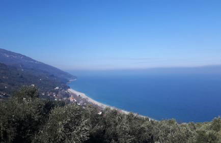 Dovas house - Foto 34