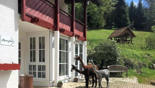 Alpaca-Village - Foto 2