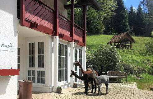 Alpaca-Village - Foto 2