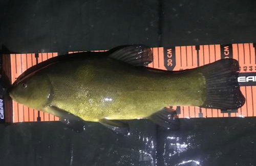 Haus 'am Selliner See-wismar' - Foto 14