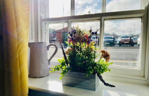 Swordfish Cottage **Next to the Harbour** - Photo 14