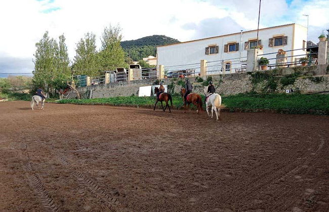 Horseback Riding in Randa, Mallorca - Foto 7