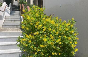 Casa Vespucci - Foto 14