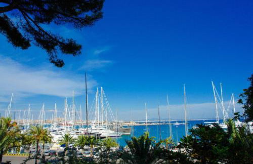 Ca'n Perlita - Foto 36