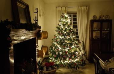 B&B Casa Zia Cianetta Residenza di Campagna - Foto 15