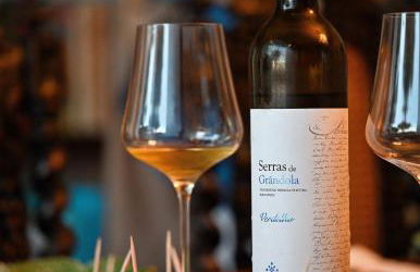 A Serenada Enoturismo - Foto 67