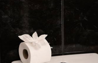 Madeira Island Rustic Mountain Home - Foto 29