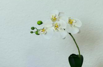 Apartman Noa - Foto 40