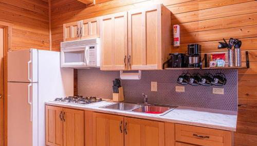 Cabin #5 Black Bear - Pet Friendly - Sleeps 6 - Playground & Game Room - Foto 5, stove, toaster, minibar