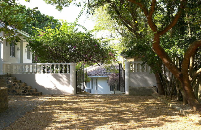 Suriyawatta - Photo 34