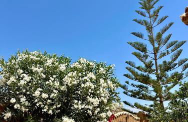 Casa Rural El Pomelo - Foto 48