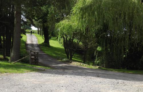 The Smithy - Photo 15